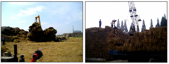 1492480066782003.jpg 未命名-3.jpg