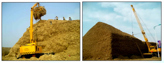 1492480171138137.jpg 未命名-4.jpg